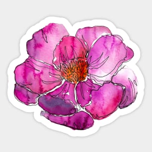 Watercolor peonies pink spring purple Sticker